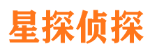 维扬调查公司